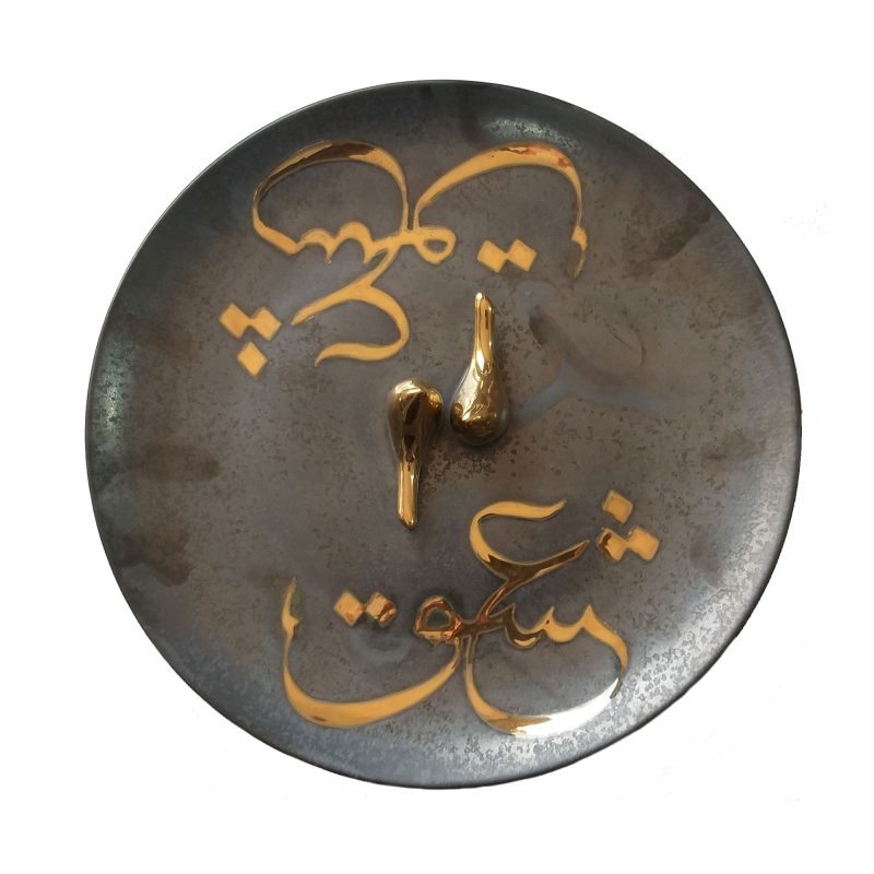 دیس گرد چغوک/ فلزنما/ پرنده وسط